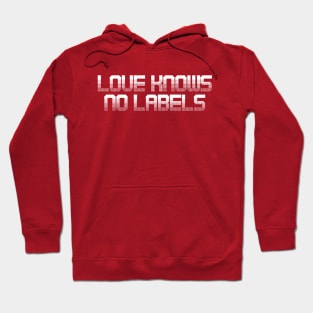Love Knows No Labels – Equality and Inclusivity Statement Hoodie